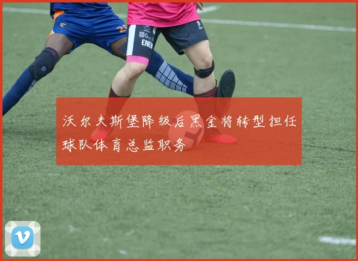 沃尔夫斯堡降级后黑金将转型担任球队体育总监职务