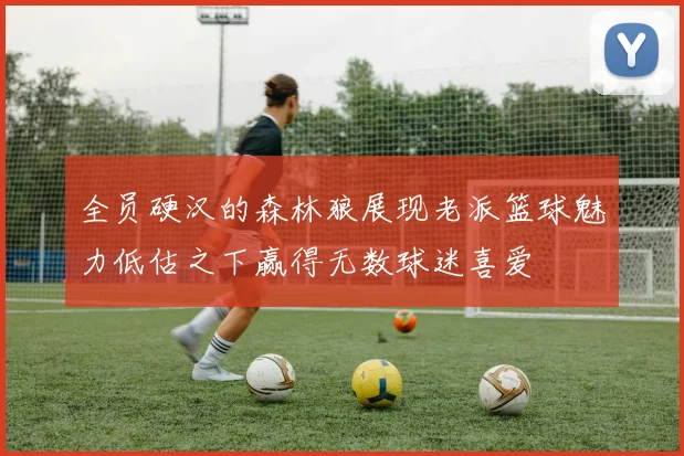 全员硬汉的森林狼展现老派篮球魅力低估之下赢得无数球迷喜爱